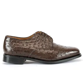 BISHOP Brown Leather Ostrich Shoe