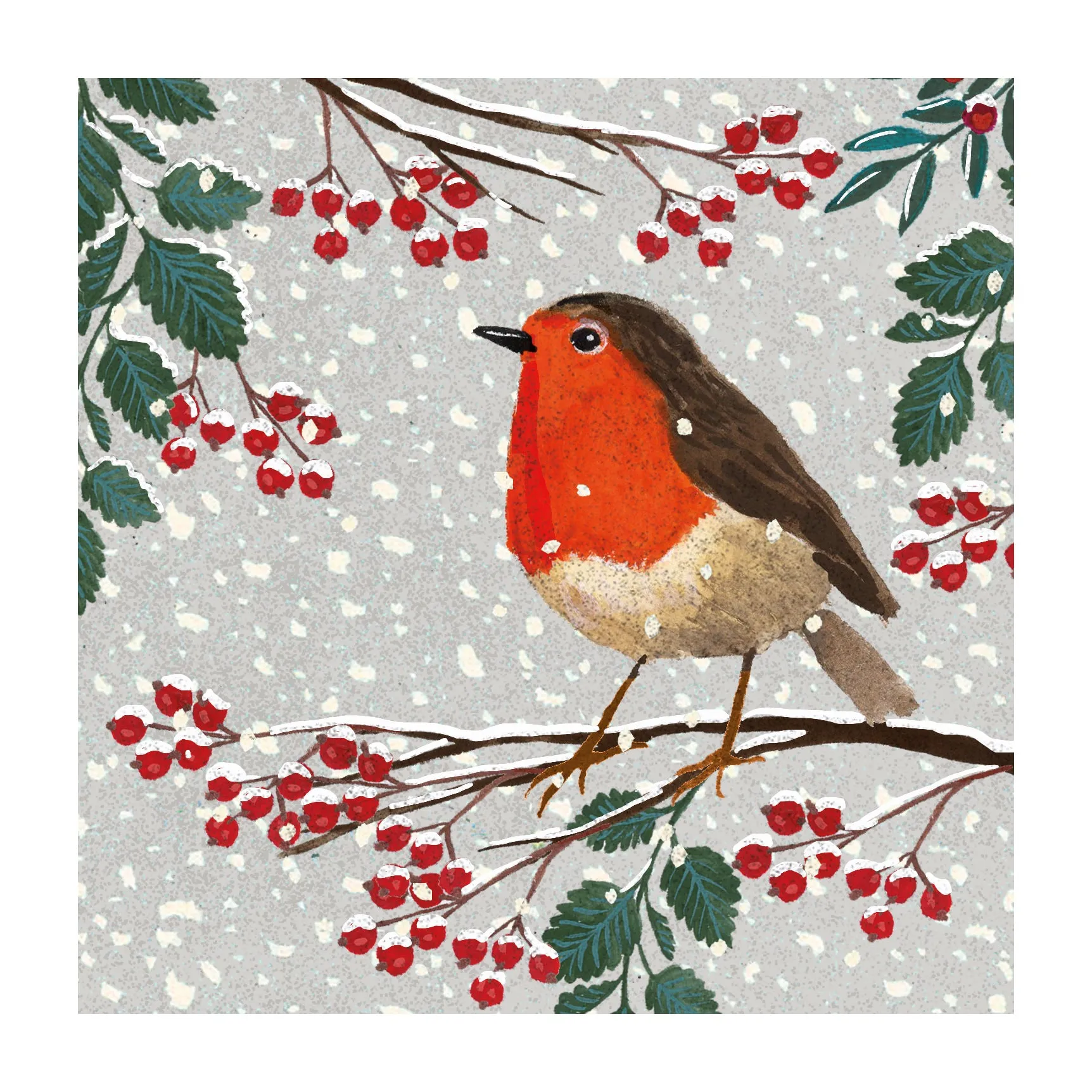 Winter robins, twin pack of 10 cards