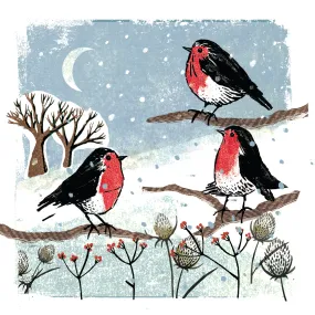 Winter robins, twin pack of 10 cards